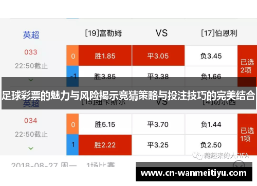 足球彩票的魅力与风险揭示竞猜策略与投注技巧的完美结合